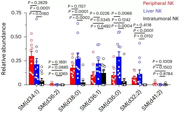 Normalized intensities from single-cell sIC-MS showing multiple sphingomyelin species—SM(d34:1), SM(d36:1), SM(d36:0), SM(d38:0), SM(d32:2)—significantly decreased in intratumoral NK-cell membranes versus liver-resident and peripheral NK cells (two-way ANOVA; mean ± s.d.; P<0.05)